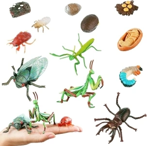 JOKFEICE 12pcs Insect Toys Life Cycle of Praying Mantis, Cicada & Stag Beetle Action Model, Plastic Bug Figurines, Early Educational Toys Christmas Birthday Gift for Kids