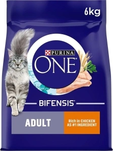 Purina ONE Adult Dry Cat Food Rich in Chicken 6kg, Packaging may vary