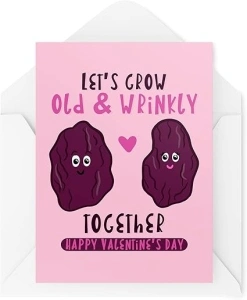 Funny Valentine's Day Card - Let's Grow Old & Wrinkly Together Raisins - Husband Wife Cards - Valentines - Girlfriend Boyfriend - CBH1462