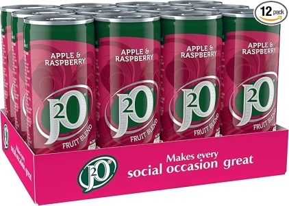 J2O Fruit Juice, Apple and Raspberry, 250ml Cans (Pack of 12)