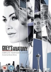 Grey's Anatomy Season 14 [DVD] [2018]