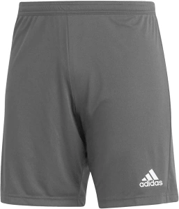 adidas Men's Entrada 22 Shorts (1/4)