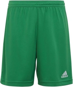 adidas Unisex Kids Entrada 22 Shorts Shorts