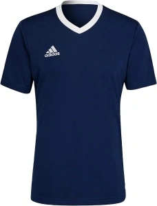 adidas Men's Entrada 22 Graphic Jersey Jersey (Short Sleeve)