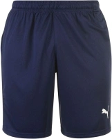 Puma Mens LIGA Core Shorts