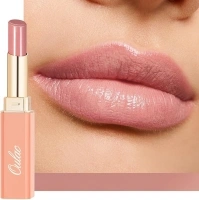 Oulac Nude Pink Lipstick - Moisture Shine Hydrating Lipstick & Tinted Lip Balm for Dry Lips, Medium Coverage Lip Colour | Juicy Look, Glossy Finish, Vegan, Cruelty-Free, Tenderness (14)