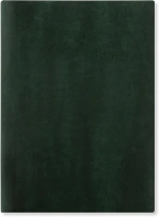 Letts Lecassa 2024 A5 week to view diary - British Racing Green