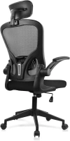 JAJALUYA Office Chair Mesh Computer Chair with Adjustable Headrest and Lumbar Support Desk Chair Ergonomic Office Chair with Flip-up Armrest for Home Office Study (Black)