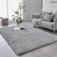 AMEHA Rugs Living Room - Grey Shaggy Area Rugs for Bedroom Anti-Slip - Modern Super Soft Fluffy Thick Pile Rug, Non-Shedding Luxury Decorative, 60x110cm