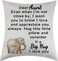 Tihnvk Aunt Gift Auntie Cushion Cover From Niece Nephew Auntie Birthday Gift Thanksgiving Day Gift Big Hug To My Aunt