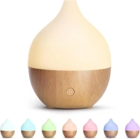 SALKING Essential Oil Diffuser, 100ml Small Aromatherapy Ultrasonic Cool Mist Humidifier with Warm White Lights, Auto Shut-Off Function, for Office Home