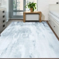 Grey Rug Bedroom Area Rugs - Small Rugs for Living Room 60X90 CM 307-10060