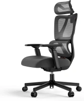 ProtoArc EC100 Ergonomic Office Chair - High Back Computer Desk Chair with 10cm Thicker Spring Cushion, Adaptive Lumbar Support, Adjustable Armrest&Headrest Mesh Swivel Chair for Home Office, Black