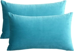 Lutanky Velvet Cushion Covers (Pack of 2) Lovely Rectangle Throw Pillow Cases Soft Solid Decorative Pillow Covers for Sofa Bedroom Car 12x20 Inch 30 x 50 cm(peacock blue, 2 Pieces)