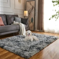 Evitany Rugs Living Room,Non Slip Washable Carpet,Fluffy Bedroom Rug,Shaggy Rug for Kids Room,Lounge,Bedside,Hallway,Kitchen(Dark Grey,60x120 cm)